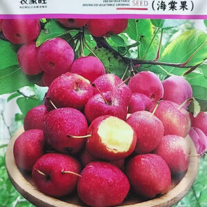 1 Packet Apple Seeds Price 399৳