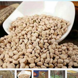 ১ প্যাকেট কিনলে ১ প্যাকেট ফ্রি ৯৯৯ টাকা gingseng