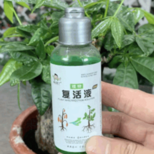 2 বোতল Tree Growth 2450TK