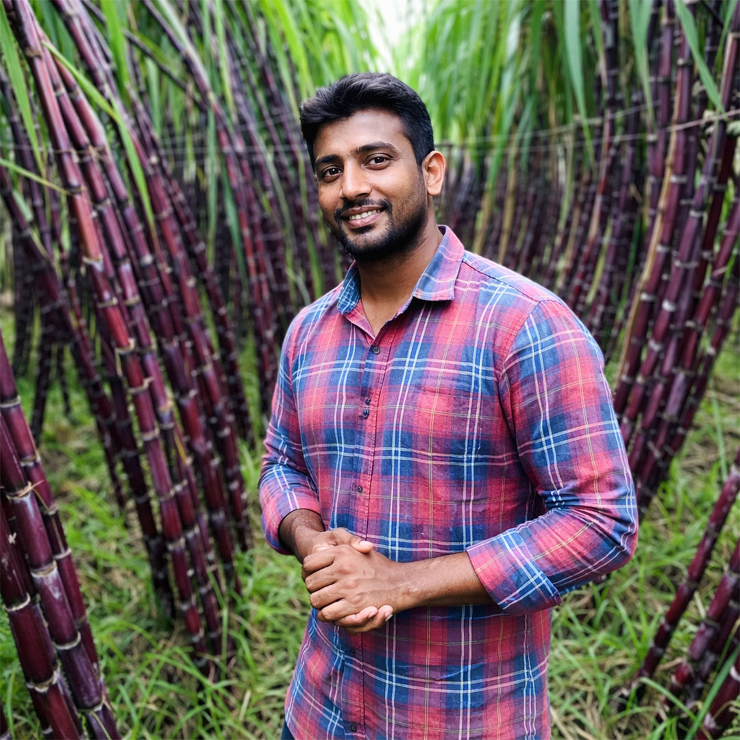 1 প্যাকেট লাল আখ বীজ 990 Tk