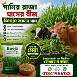1 Kg German Grass 900